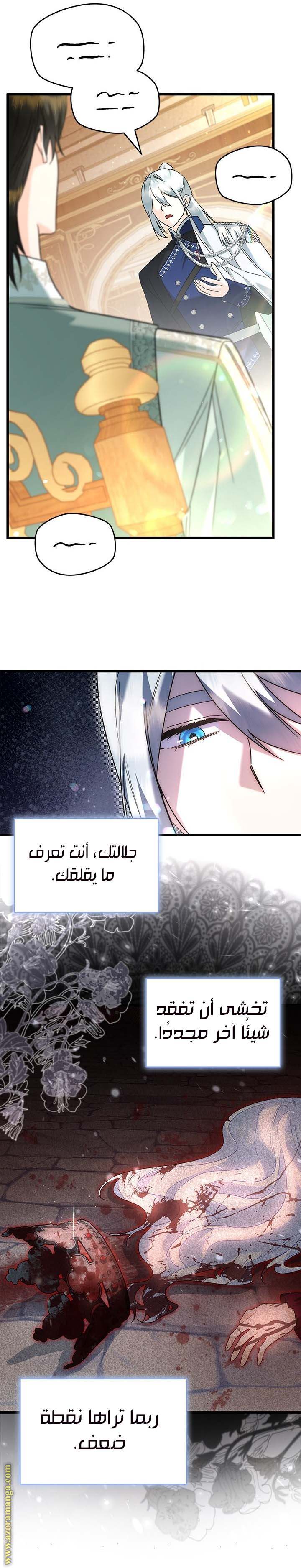 الصفحة 17
