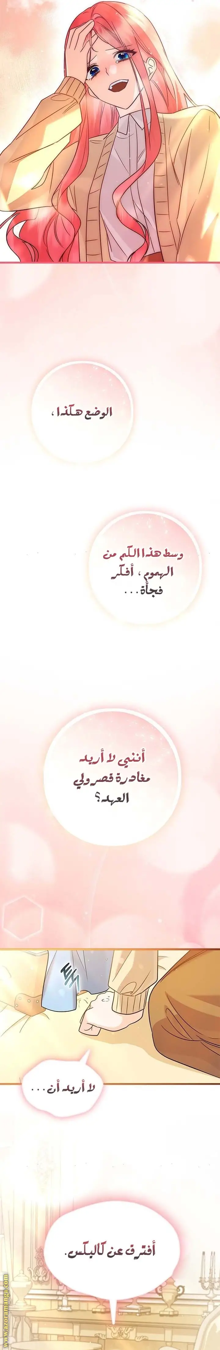 الصفحة 22