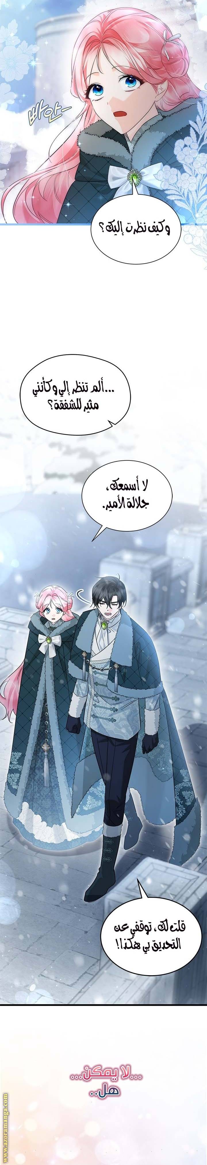 الصفحة 13