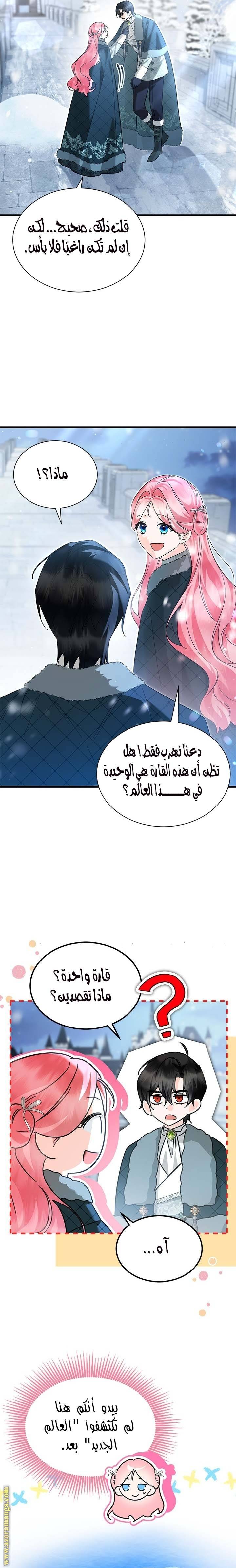 الصفحة 17