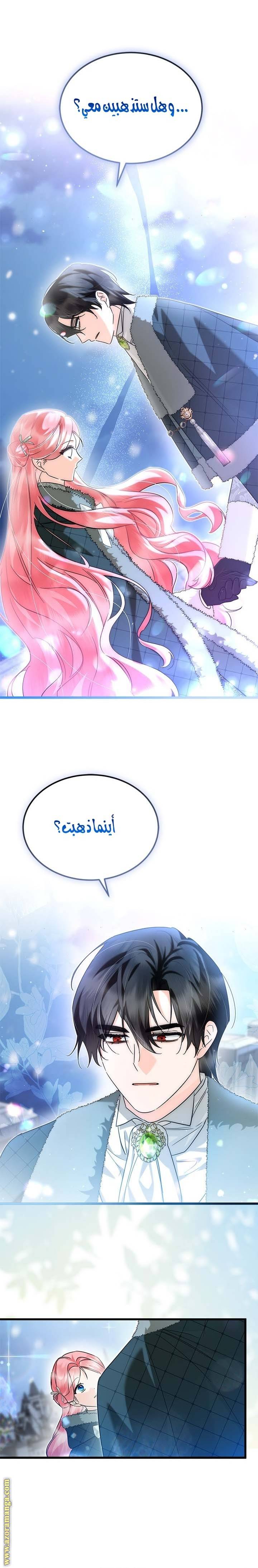 الصفحة 19