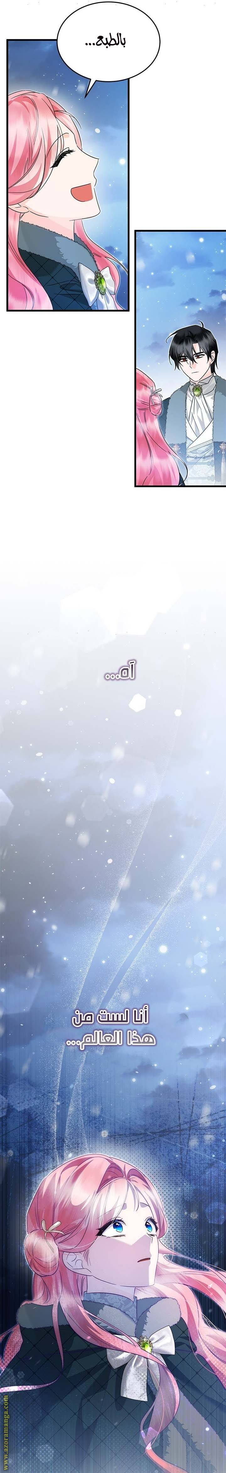 الصفحة 20