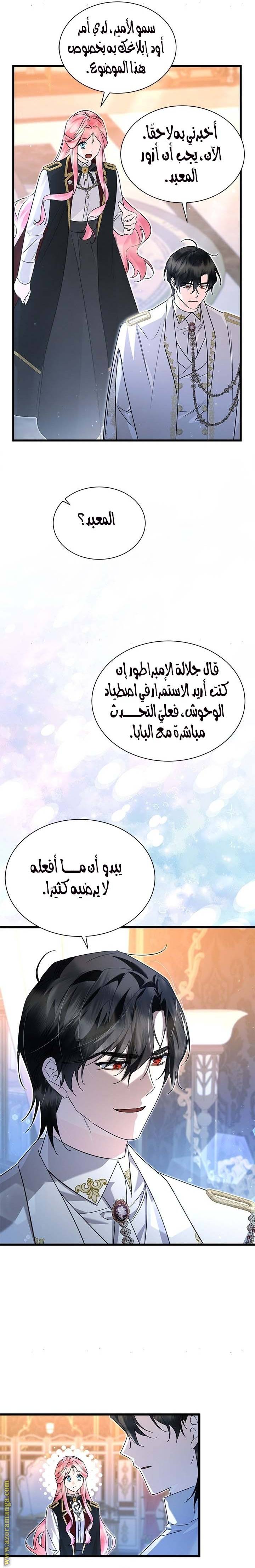 الصفحة 16