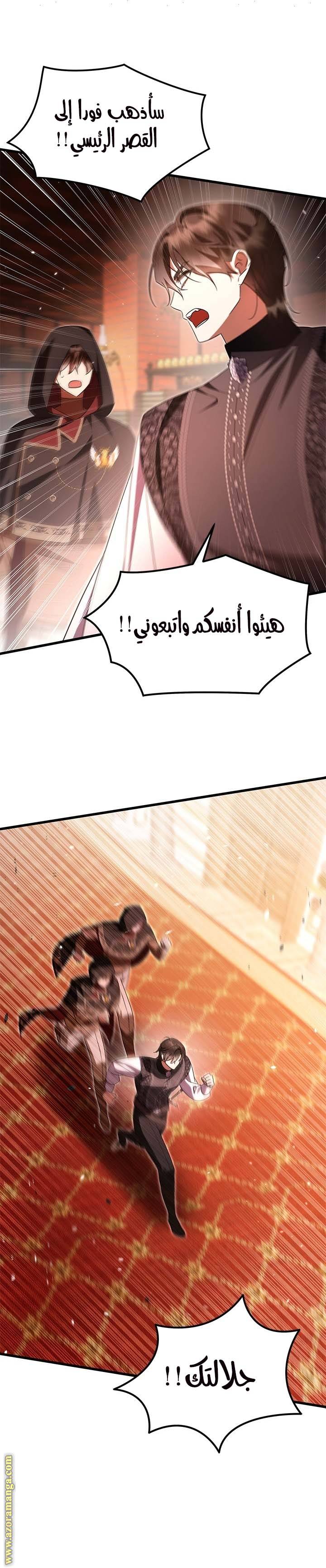 الصفحة 17