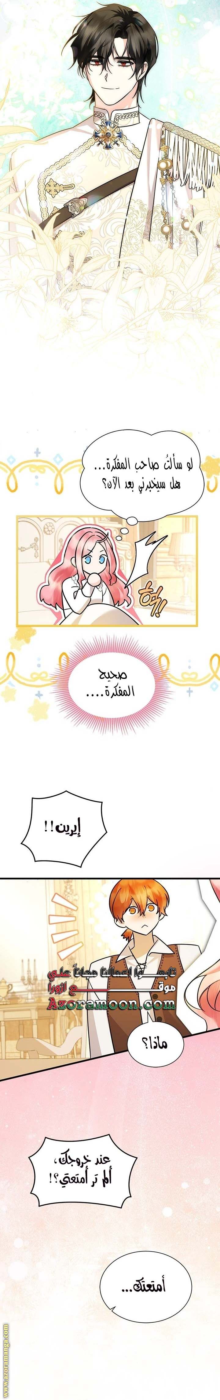 الصفحة 17