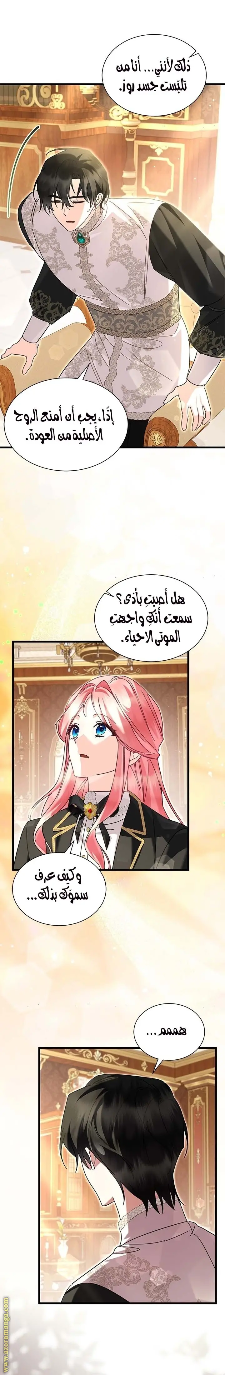 الصفحة 3