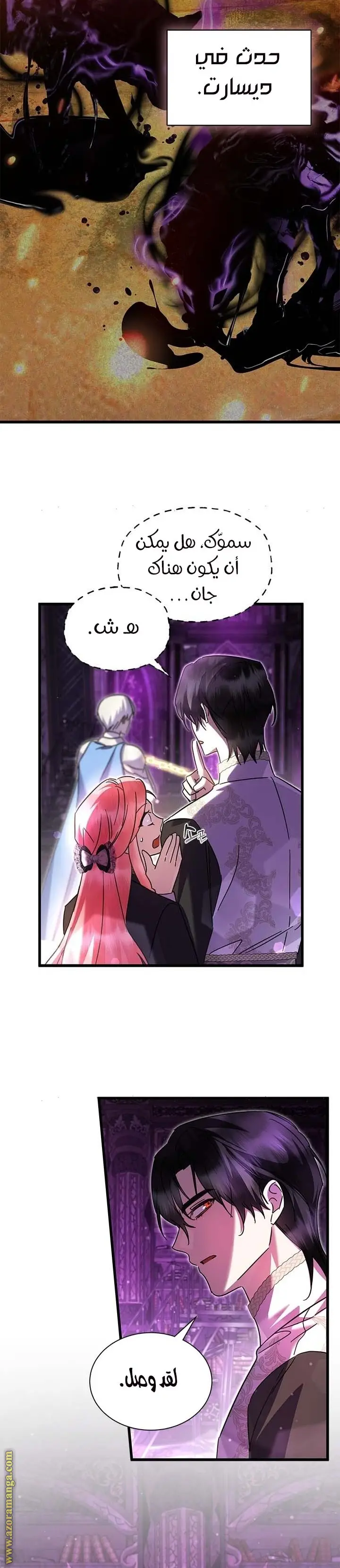 الصفحة 17