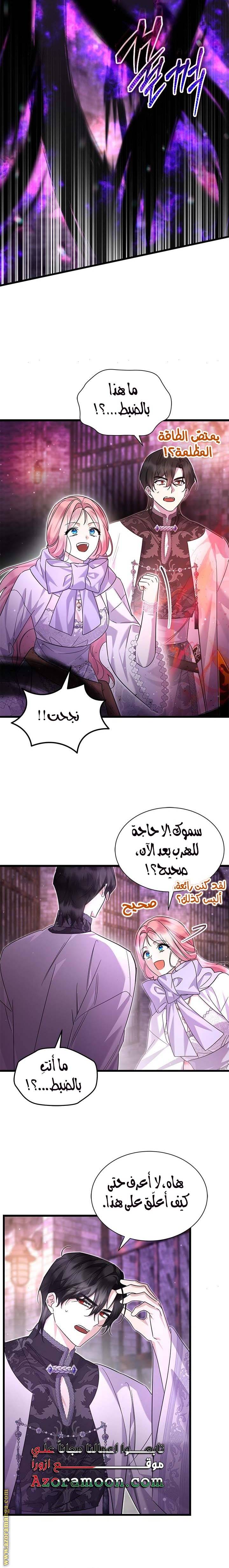 الصفحة 19
