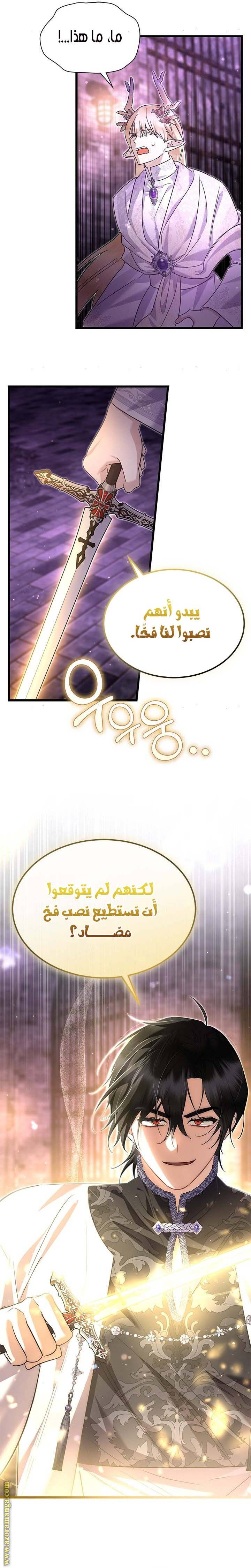 الصفحة 20