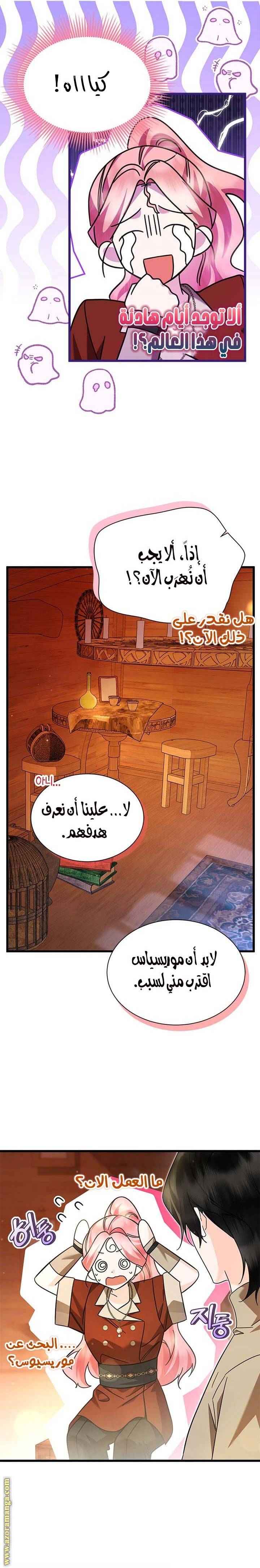 الصفحة 17