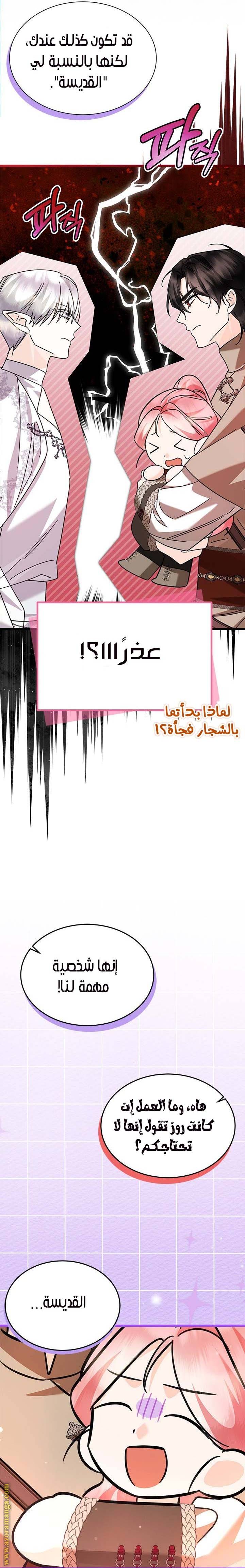 الصفحة 26