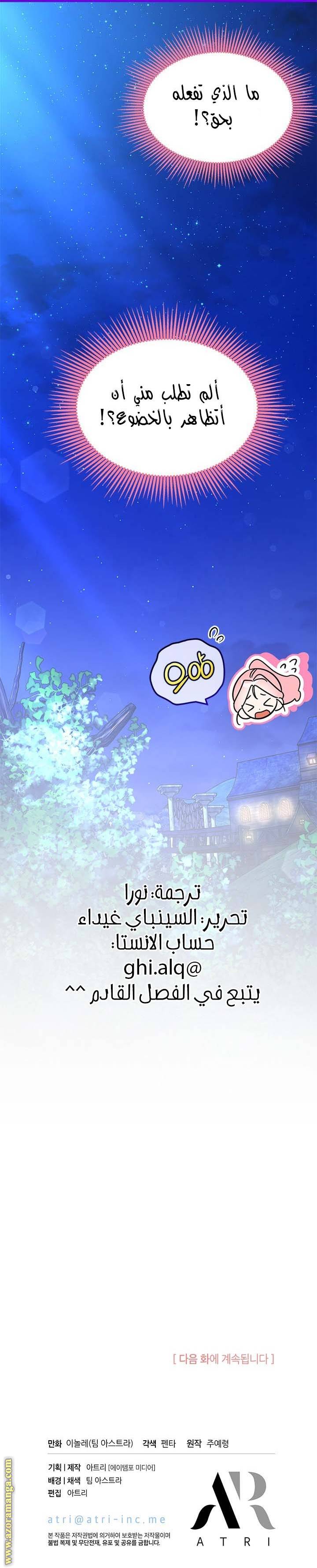 الصفحة 27