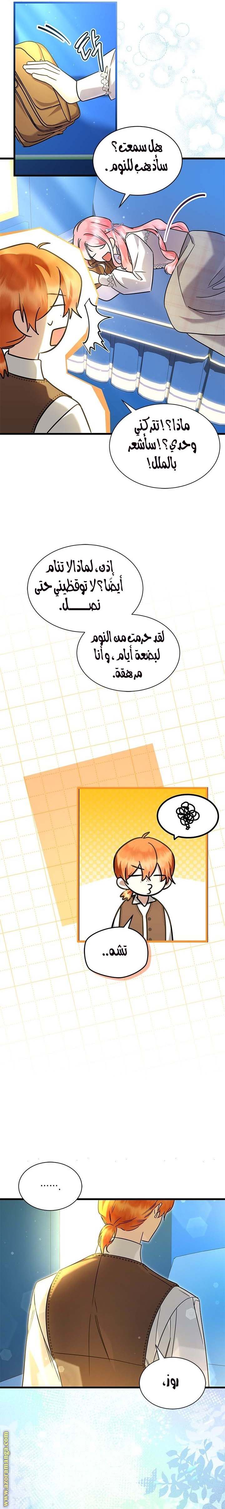 الصفحة 17