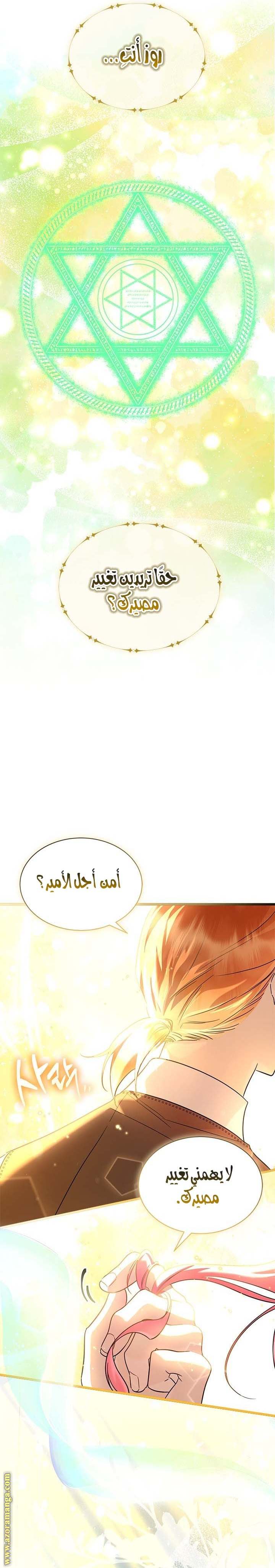 الصفحة 19