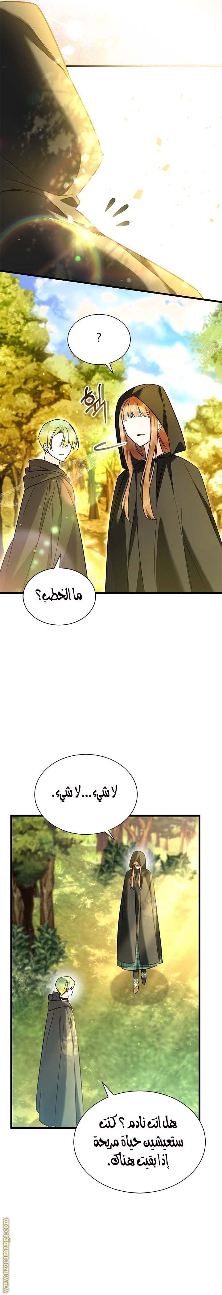 الصفحة 21