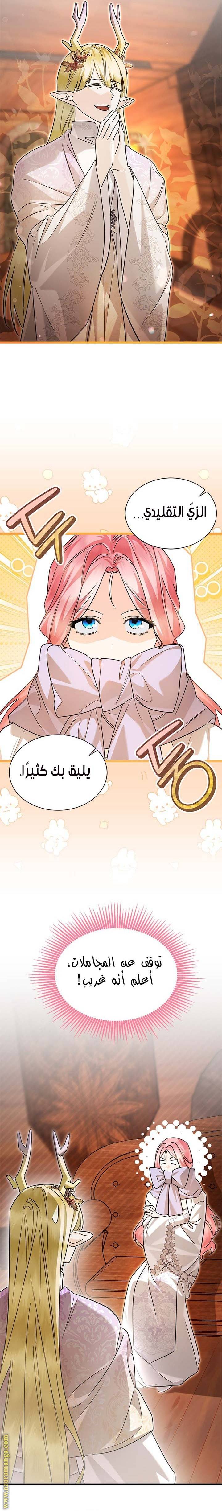 الصفحة 13