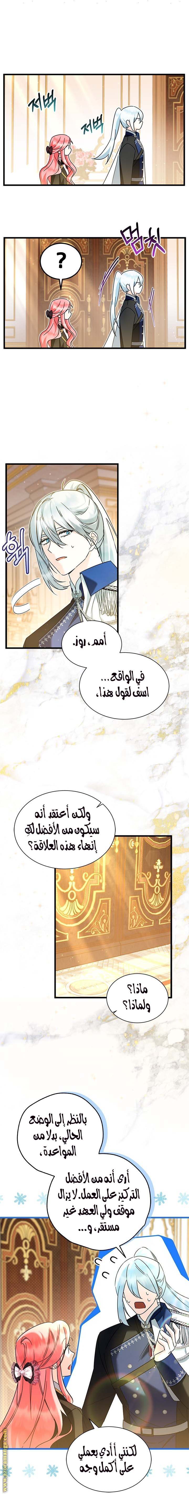 الصفحة 17