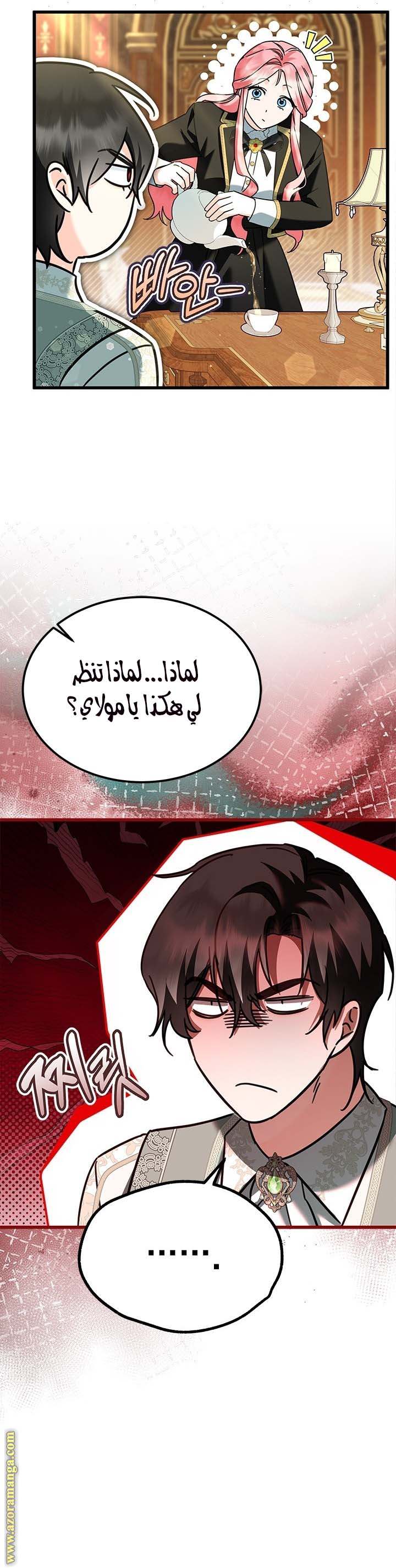 الصفحة 21
