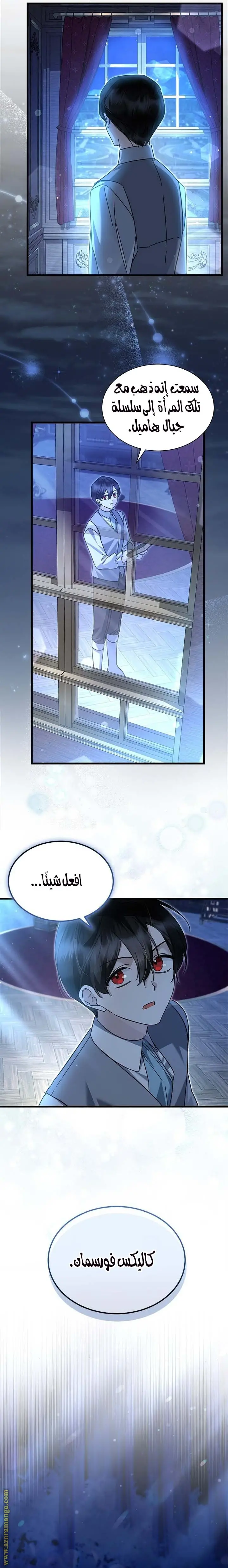 الصفحة 13