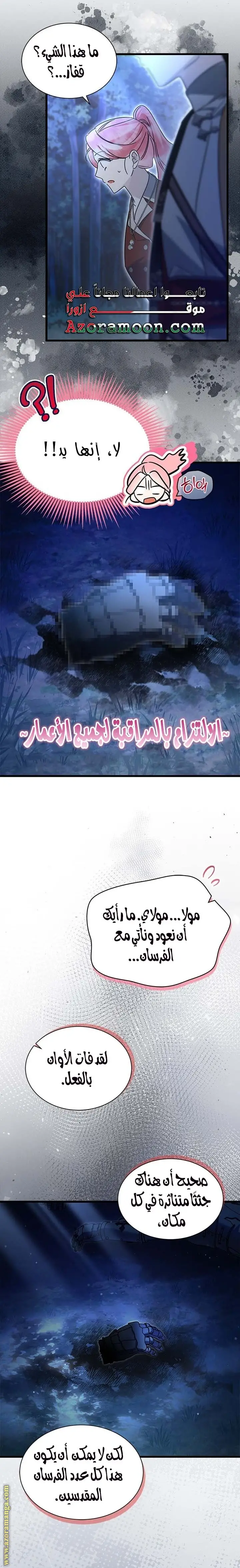 الصفحة 16