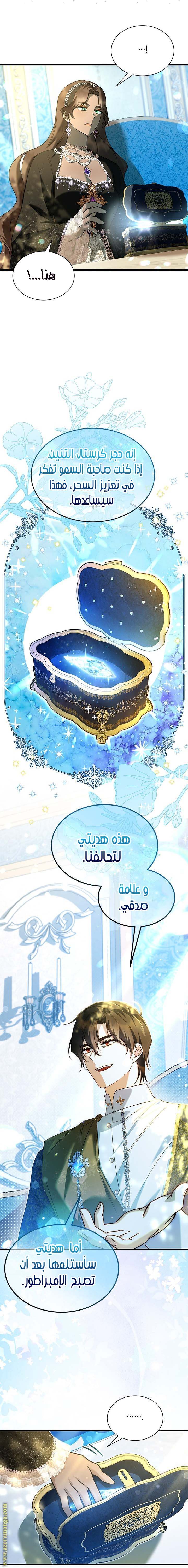 الصفحة 17