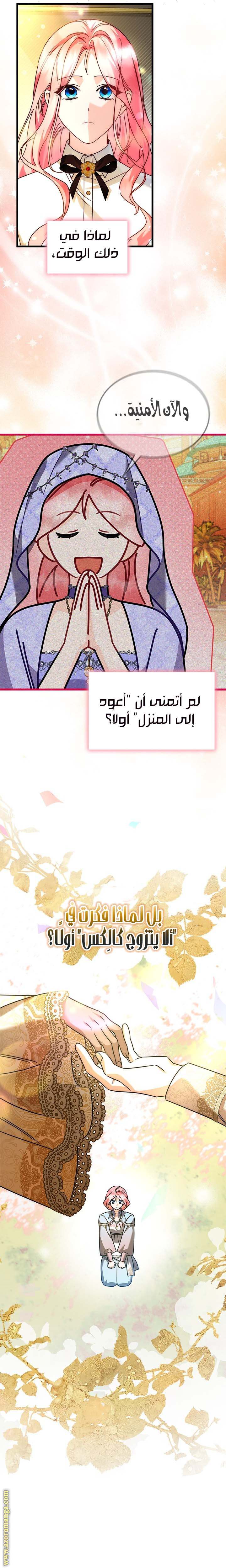 الصفحة 23