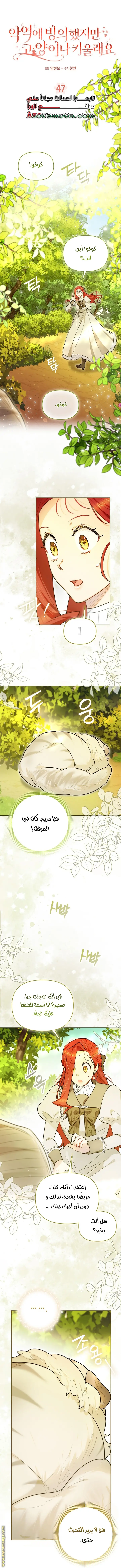 الصفحة 3