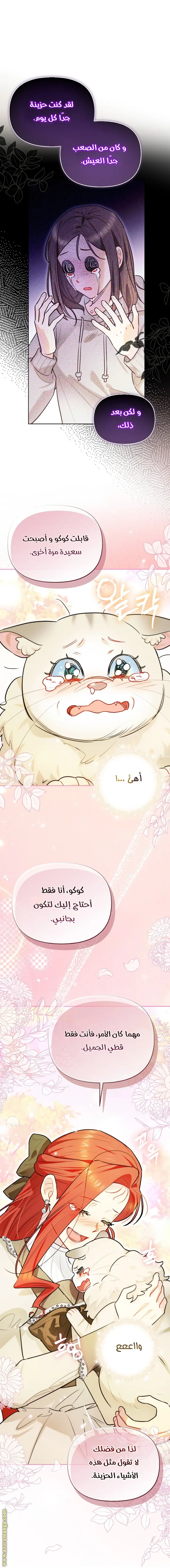 الصفحة 14