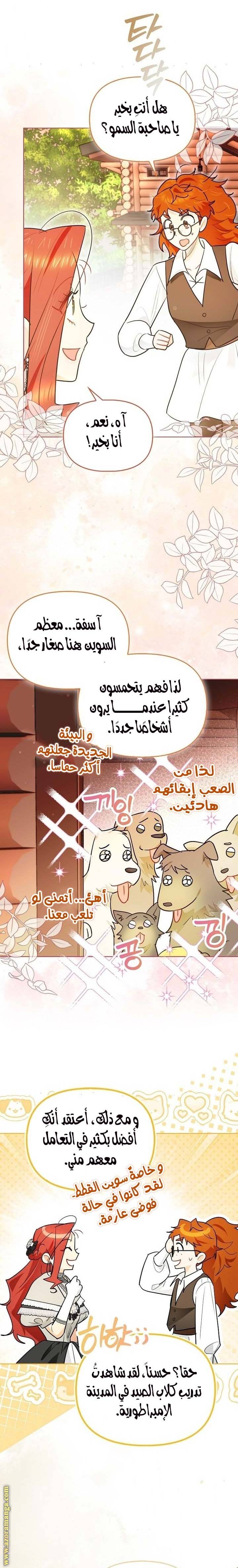 الصفحة 11