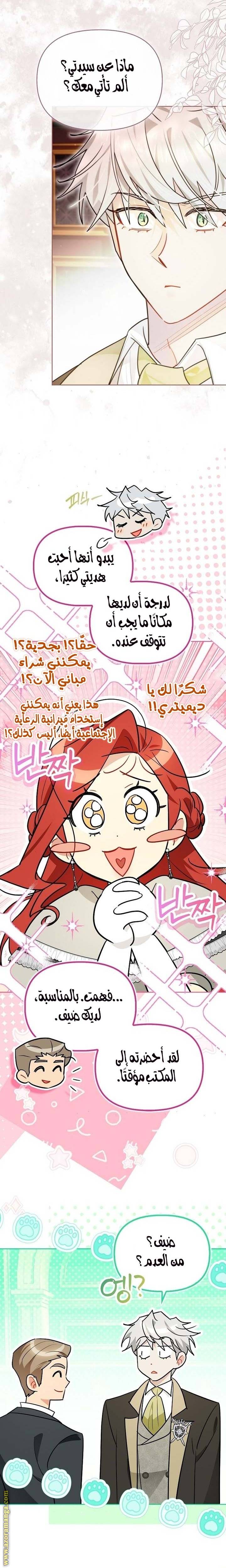 الصفحة 17