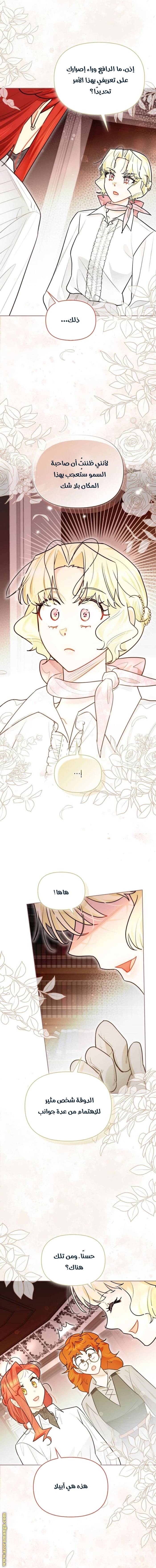 الصفحة 3