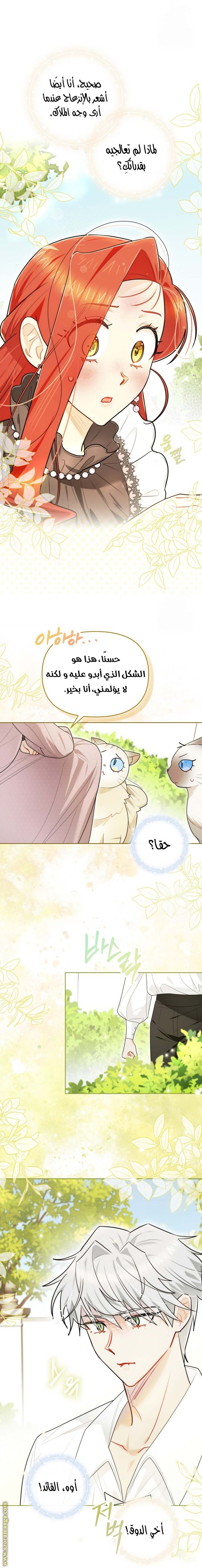 الصفحة 10