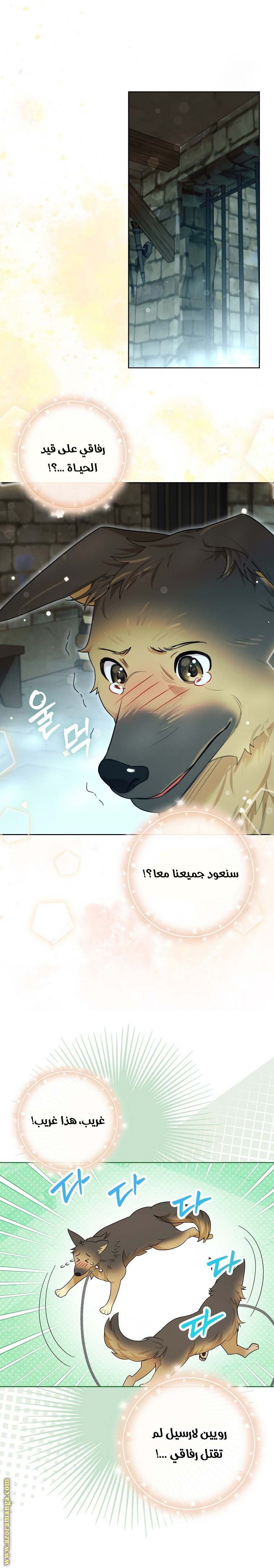 الصفحة 9