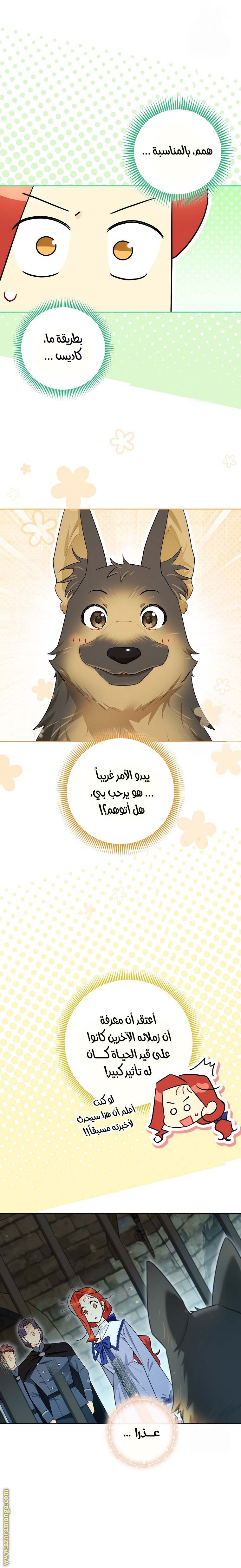 الصفحة 12