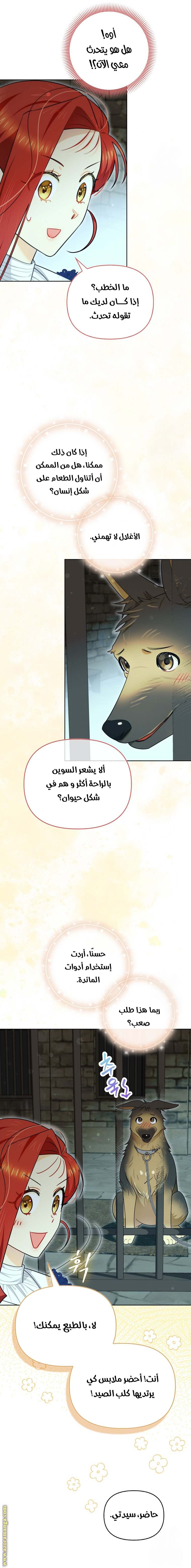 الصفحة 13