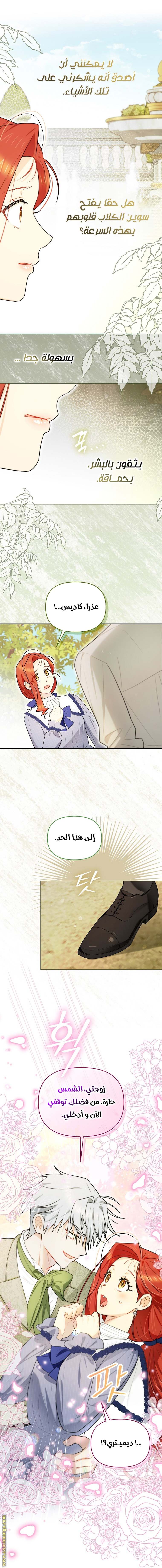 الصفحة 5
