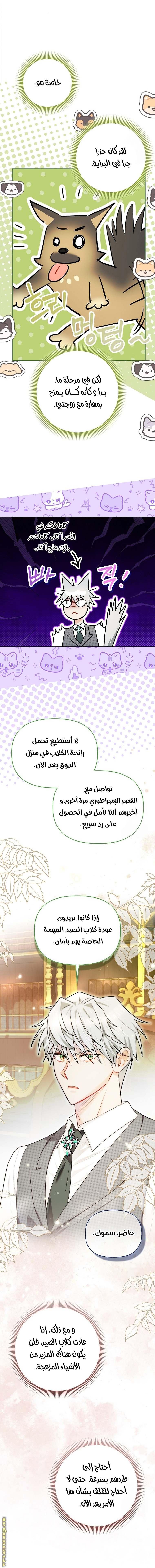 الصفحة 15