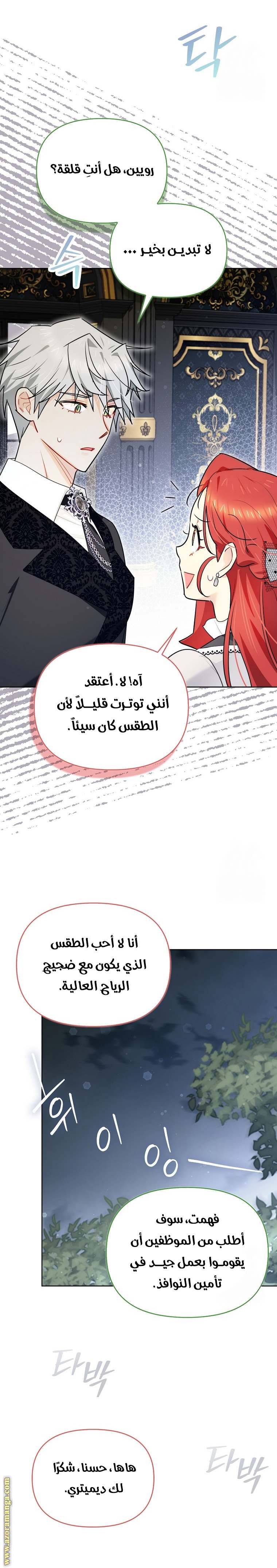 الصفحة 17