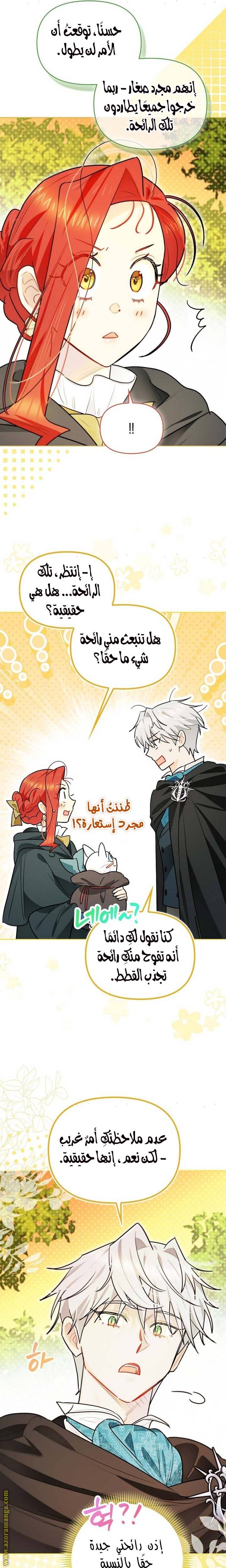الصفحة 8