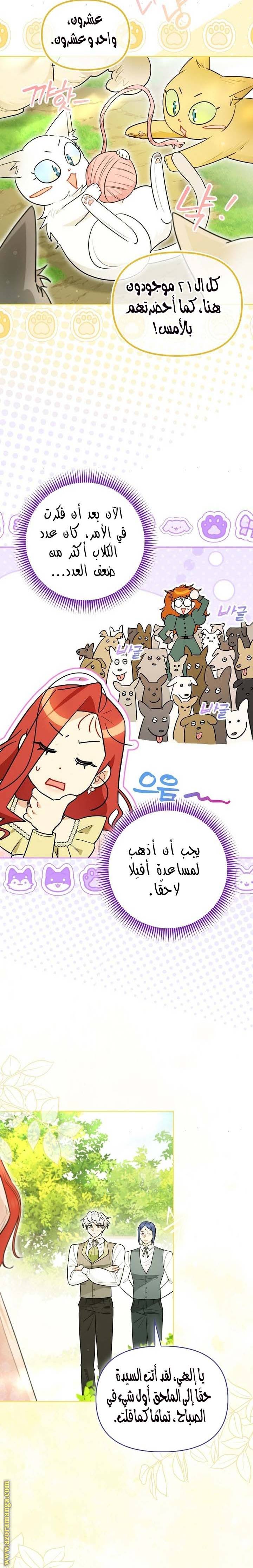 الصفحة 14