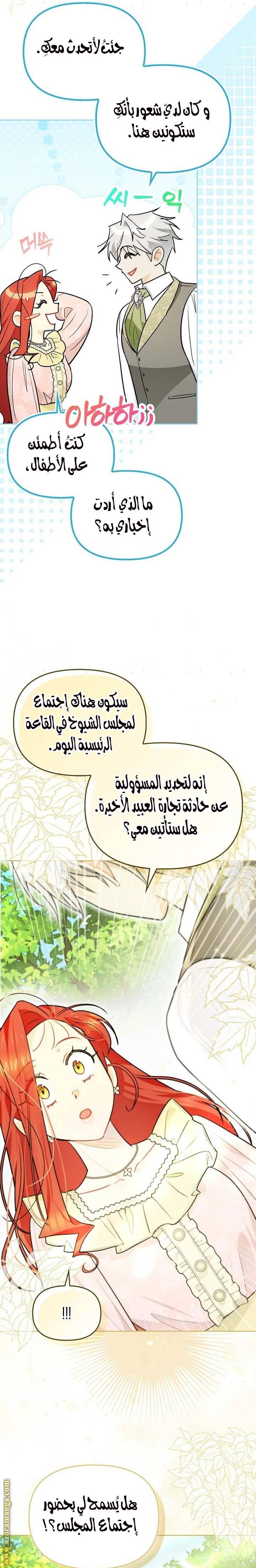 الصفحة 17