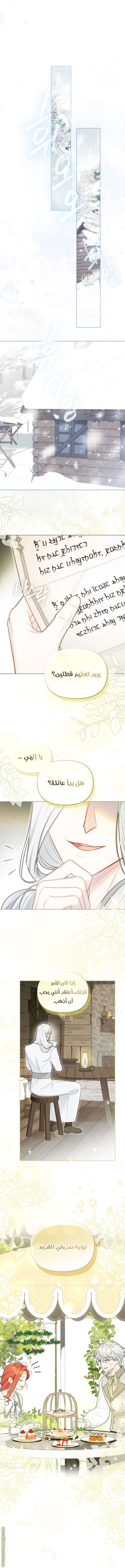 الصفحة 13