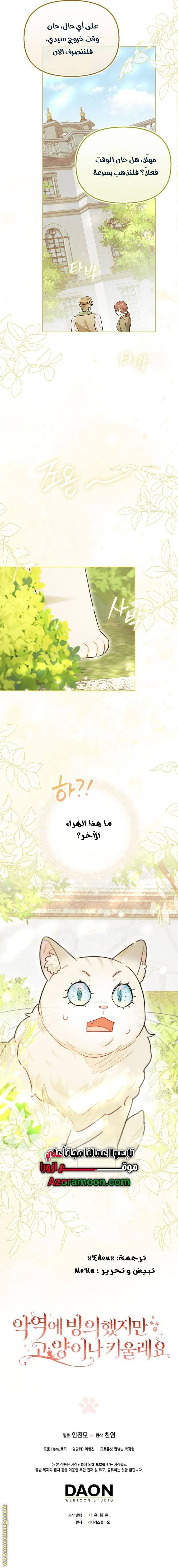 الصفحة 14