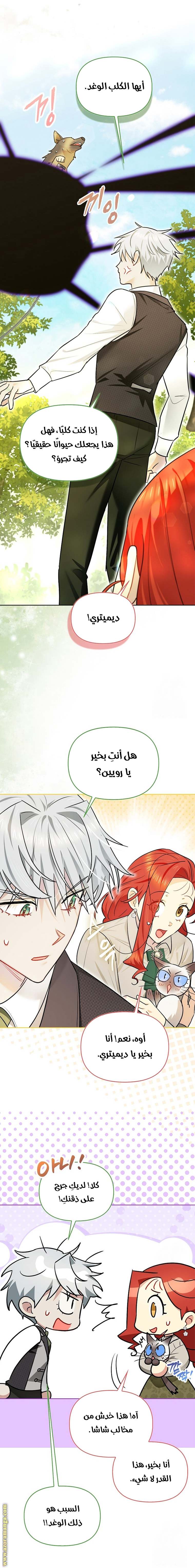 الصفحة 12