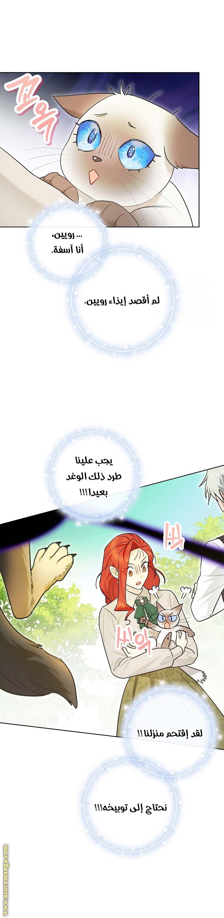 الصفحة 13