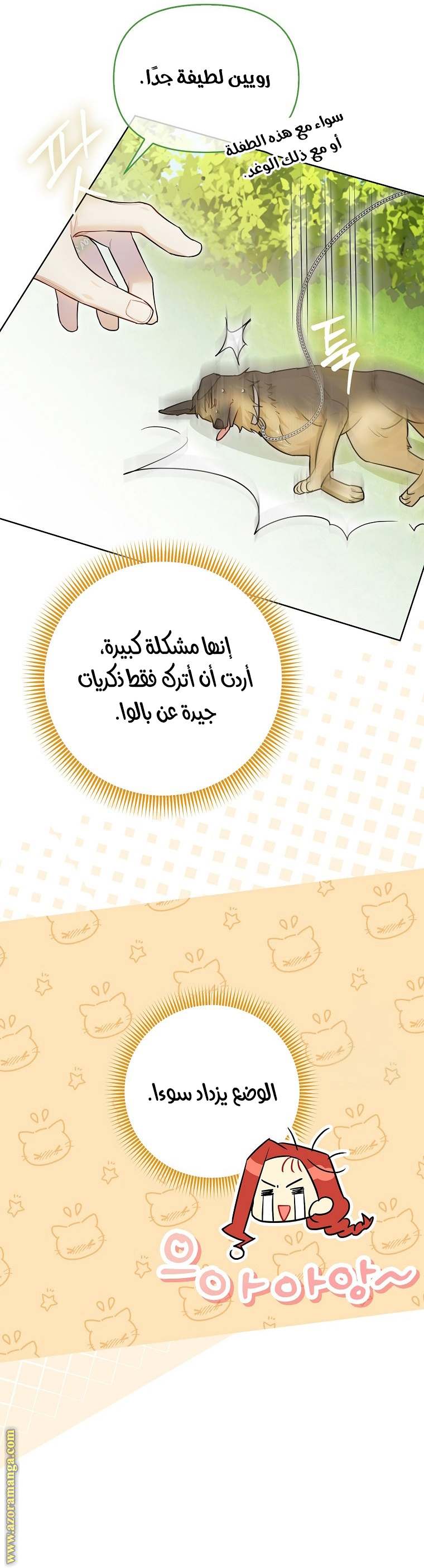 الصفحة 17