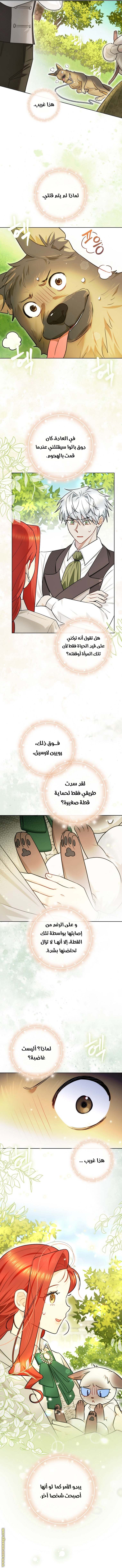 الصفحة 18