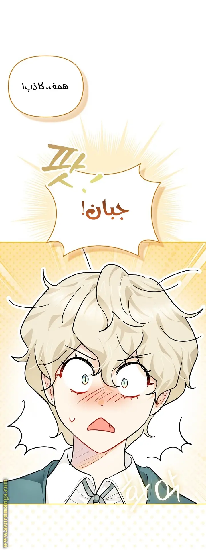 الصفحة 17