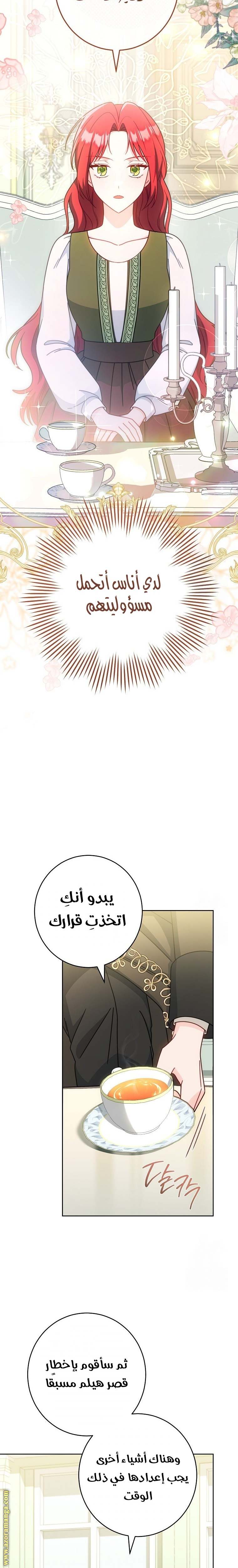 الصفحة 26