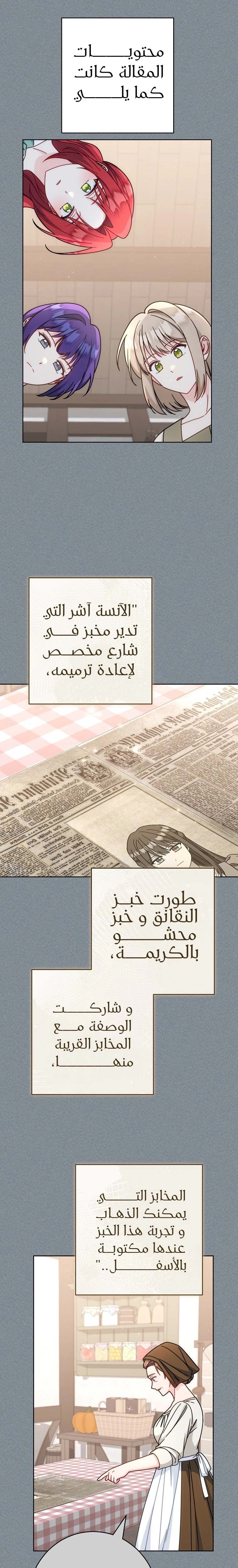 الصفحة 17